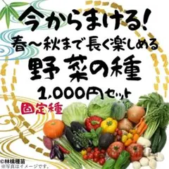 春にまく野菜の種　1,000円セット【2025年　春】 春にまく野菜の種 1,000円セット【2025年 春】 - メルカリ