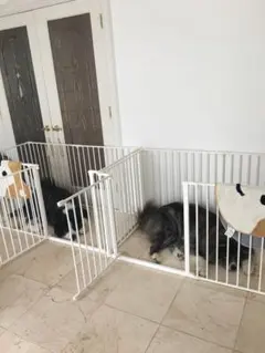ペットゲージ　大型犬　HEARTH GATE XL XXL Baby Danのサムネイル