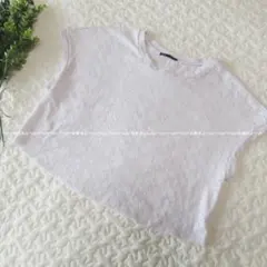 ZARA/ザラ/S　総刺繍トップス/カットワーク刺繍/Tシャツ/半袖ブラウス
