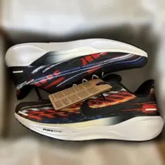 Nike ペガサス41 27.5センチ