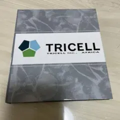 バイオハザード5