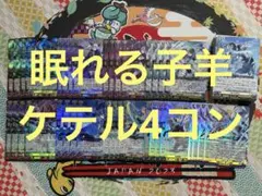 ケテルサンクチュアリ 4コン 2026年最新】ケテルサンクチュアリ 4コンの人気アイテム - メルカリ