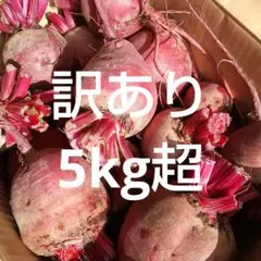 信州産ビーツ】4kg 【有機肥料使用・化学農薬不使用】 - メルカリ