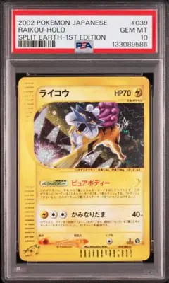 2026年最新】ライコウ psa10の人気アイテム - メルカリ