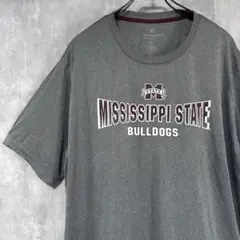 ブルドッグ　Colosseum Tシャツ 3XL グレー