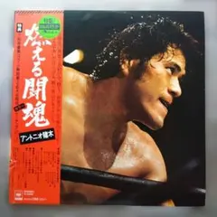 アントニオ猪木 プロレスフィギュア 闘魂伝説 - メルカリ