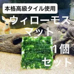 ykhrs2k様 リクエスト 2点 まとめ商品