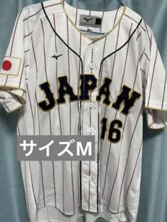 Item thumbnail for item af6efad9-a1ab-4998-a257-fe4e640e625e