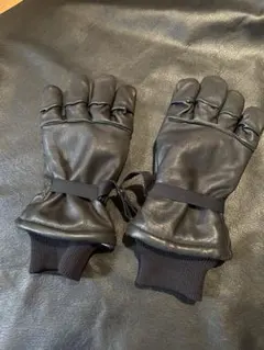 Item thumbnail for item ef1b23d0-4ef5-420d-a931-2641c61af1ec