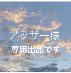アッサー様専用！ CIAOPANIC TYPY 1点