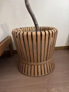 未使用】Octoデザイン風 (45cm) ペンダントライト 照明 - メルカリ
