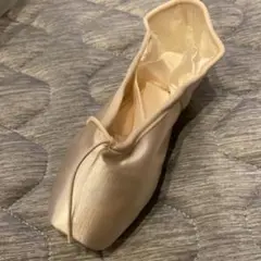 Chacott トゥシューズ Progress 21 D Mベージュ