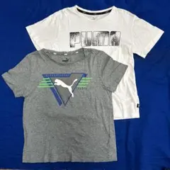 プーマ 半袖Tシャツ　ホワイト　グレー　150 2枚セット