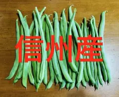 【当日発送】 信州産 無農薬 信州産 長野県産 インゲン豆のサムネイル