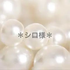 シロ様専用ページ