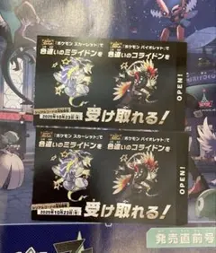 色違いコライドン ミライドン コード2枚セット