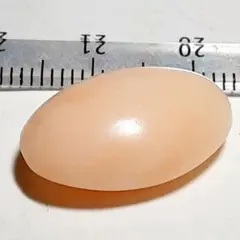 6437　天然サンゴ　珊瑚