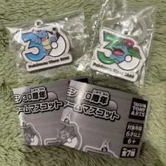 即日発送　匿名　Pokemonポケモン30周年メタルチャームマスコット