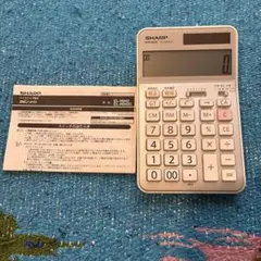 Item thumbnail for item 85e4d538-6ac5-4c0a-9d6d-a738e6896835