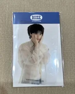 RIIZE ソヒ 2024シーグリ クリアフォトカード トレカ
