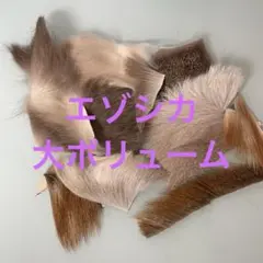 Item thumbnail for item 7c1c635f-daba-424e-8aaa-efd976a0cfd6