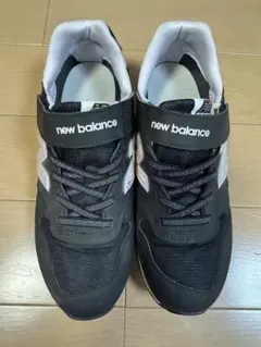 Item thumbnail for item 10d31543-07f4-4070-8846-aeb4d240860e