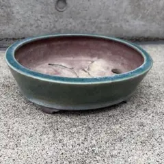 浩山 もっこ 盆栽鉢 - メルカリ