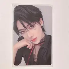 MUSICART リッキー ヨントン トレカ