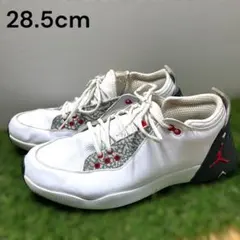 NIKE AIR JORDAN ジョーダンゴルフ　ADG 26cm 美品 最新☆ジョーダンゴルフシューズ☆Jordan ADG 5☆お早めに