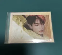 &team フォトムック タレントカード