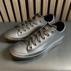 Item thumbnail for item 17d7069f-6f4d-4e0a-ab64-a0482df38630