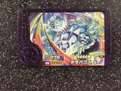 ポケモンフレンダ　スーパートレジャー　テラパゴス　テラスタル　ステラタイプ