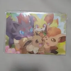 ポケモン モフモフパラダイス　ポストカード４枚セット