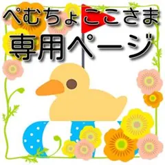 ぺむちょここさま専用♪