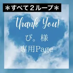 ぴ。様 リクエスト 3点 まとめ商品