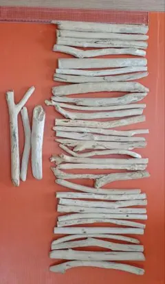 Item thumbnail for item bf55841c-cdf6-422a-a2f5-1a0d4508dd73