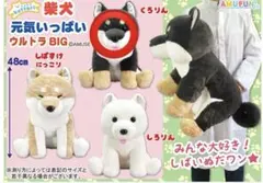 くったり柴犬 元気いっぱい VMCコンプリート マスコット ≪8月の新商品 / New products in August≫ ☆くったり柴犬元気