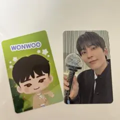 seventeen セブチ CARATLAND ウォヌcarat zone