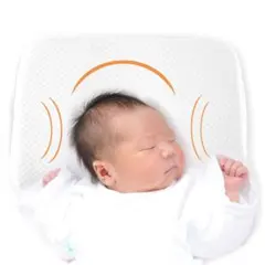 Item thumbnail for item 363ca381-7eca-4f75-abb2-0b63dba4de74