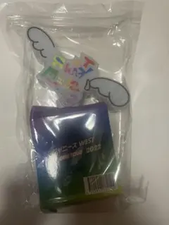 ジャニーズ WEST1stDOMETOUR 2022 ペンライト