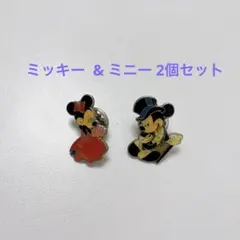 ディズニーストア ミッキー ミニー ピンバッジ セット ディズニー ピンバッチ