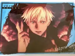 ++Niko猫++様 リクエスト 2点 まとめ商品＊依頼主のみ購入＊