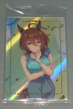 YYY様 リクエスト 2点 まとめ商品