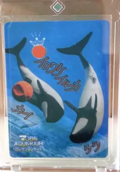 2026年最新】鳥羽水族館コレクションカードレアの人気アイテム - メルカリ
