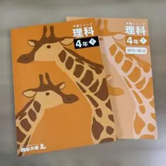 Item thumbnail for item 05c7f289-1ecb-4411-b63f-5c48c066025e