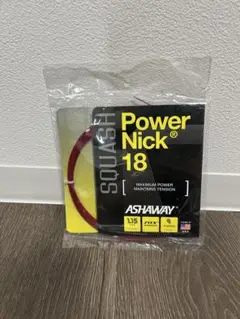ASHAWAY PowerNick 18 スカッシュガット