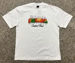 Item thumbnail for item 1f1e566e-71be-4269-8b03-ad356eae264e