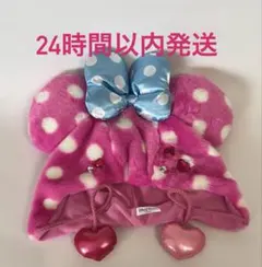 ディズニー パルパルーザ ファンキャップ 帽子 ミニー