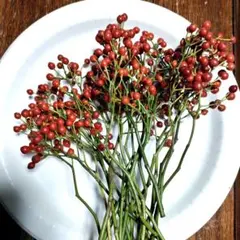 野バラの実　サイズミックスと松ぼっくりミックス25個‼️お客様ご注文品♪ 野バラの実 サイズミックスと松ぼっくりミックス25個‼️お客様ご注文品