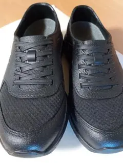 Item thumbnail for item 32eb29c5-d774-45e5-9331-32fe66362217